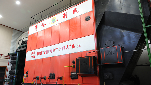 全自動(dòng)生物質(zhì)鍋爐有哪些優(yōu)勢和缺點(diǎn)